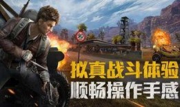 和平精英爆料辟谣视频,揭秘爆料真相，官方辟谣视频深度解析